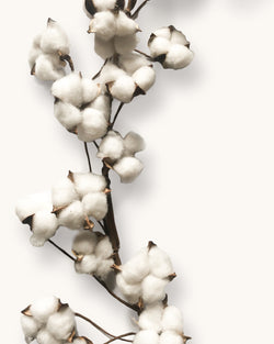 Cotton Flower Garland